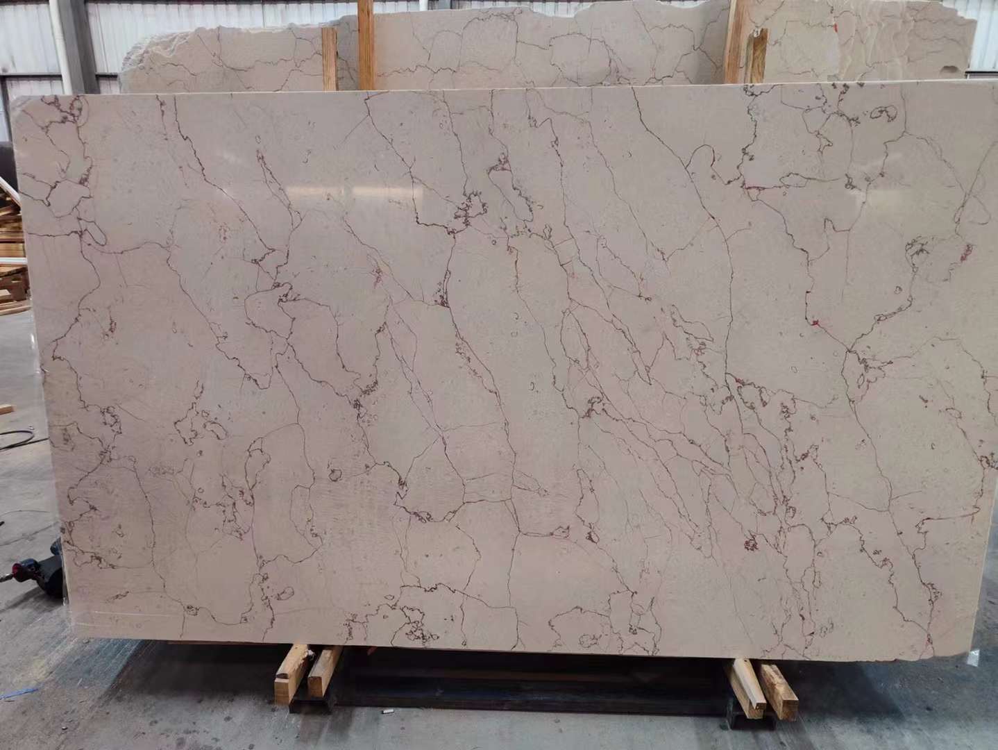 Persia Shell Beige natural warm beige tone marble slab