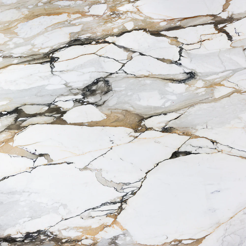 كالاكاتا ماكيا فيكيا